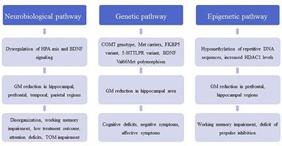 Childhood Trauma in Schizophrenia: Current Findings and Research Perspectives